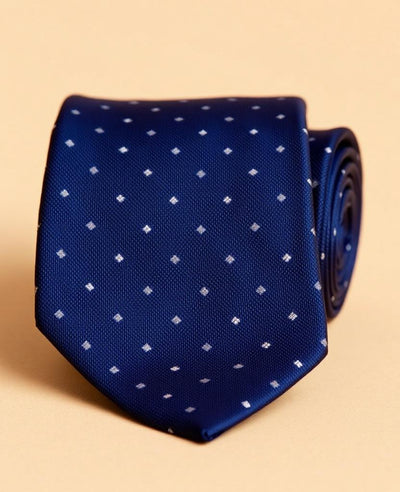 Cravat Silk Tie 04